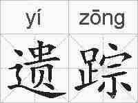 遗踪的拼音