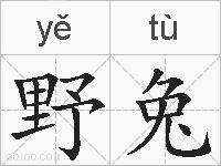 野兔的拼音