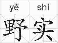 野实的拼音