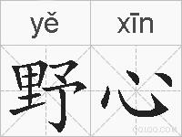 野心的拼音