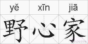 野心家的拼音