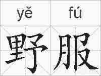 野服的拼音