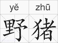 野猪的拼音