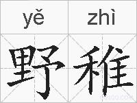 野稚的拼音