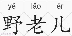 野老儿的拼音