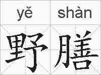 野膳的拼音