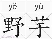 野芋的拼音