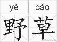 野草的拼音