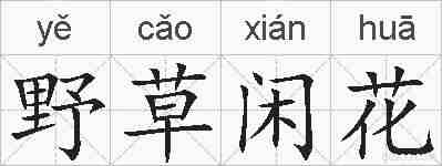 野草闲花的拼音