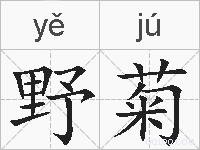 野菊的拼音