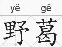 野葛的拼音