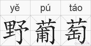 野葡萄的拼音