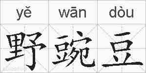 野豌豆的拼音