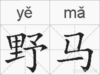 野马的拼音