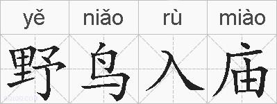野鸟入庙的拼音