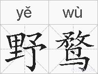 野鹜的拼音