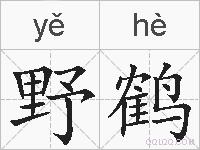 野鹤的拼音