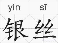 银丝的拼音