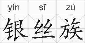 银丝族的拼音