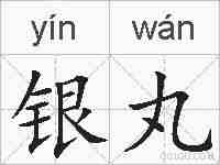 银丸的拼音