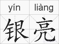 银亮的拼音