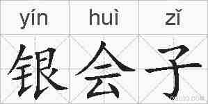银会子的拼音