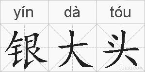 银大头的拼音
