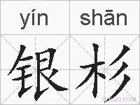 银杉的拼音