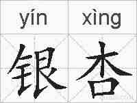 银杏的拼音