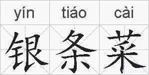 银条菜的拼音