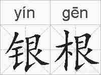 银根的拼音