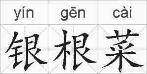 银根菜的拼音