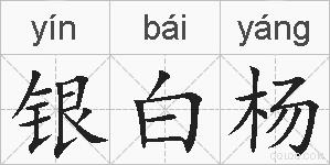 银白杨的拼音