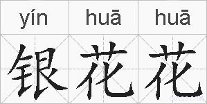 银花花的拼音