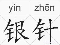 银针的拼音