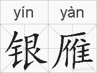 银雁的拼音