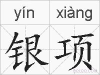 银项的拼音