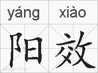 阳效的拼音
