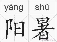 阳暑的拼音