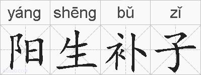 阳生补子的拼音