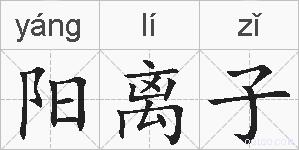 阳离子的拼音