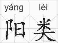 阳类的拼音