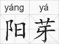 阳芽的拼音