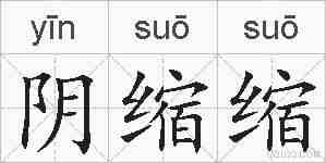 阴缩缩的拼音
