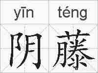 阴藤的拼音