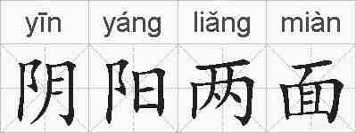 阴阳两面的拼音