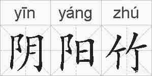 阴阳竹的拼音