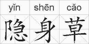 隐身草的拼音