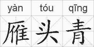 雁头青的拼音