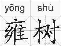 雍树的拼音